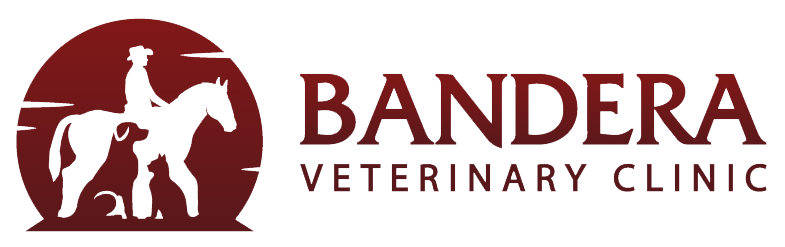 Bandera Veterinary Clinic